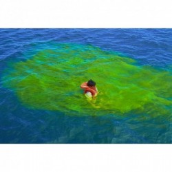 Fluoresceine
