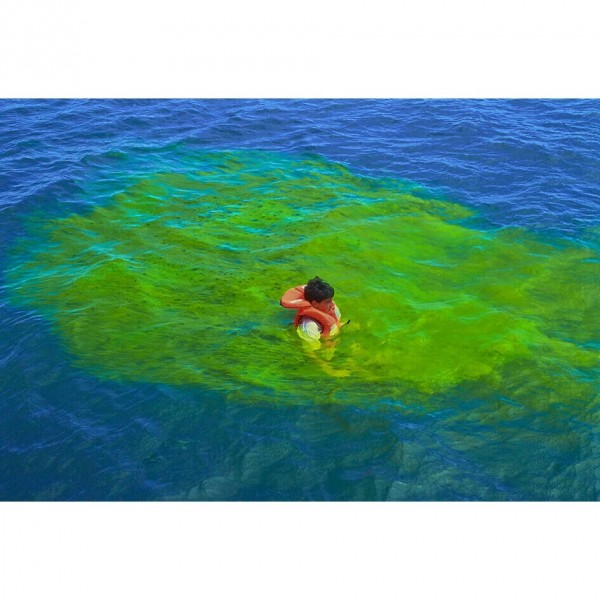 Fluorescein - N°2 - comptoirnautique.com