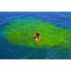 Fluoresceine - N°2 - comptoirnautique.com