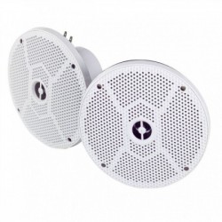 Haut-parleurs 80 W