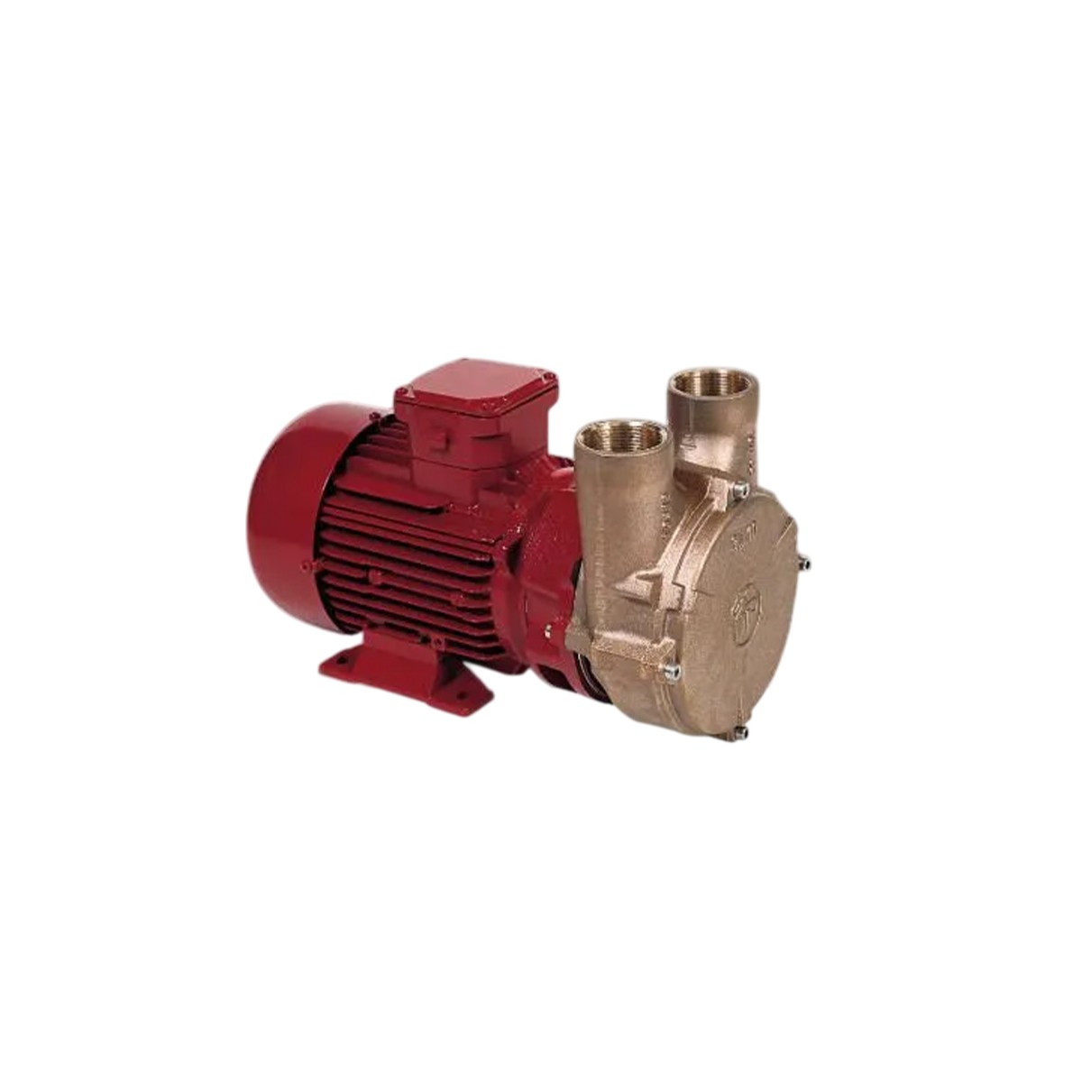 Electropompe auto-amorçante AM65 400/690V