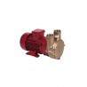 Forani AM50 230/690V series electric pumps