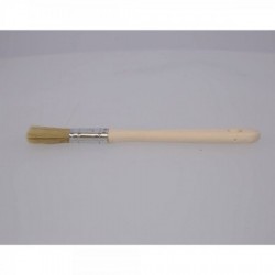 Disposable brushes