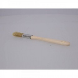Disposable brushes