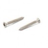 Tornillo para chapa con cabeza avellanada abombada y cabeza de estrella - N°11 - comptoirnautique.com
