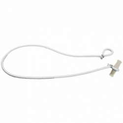 - sail ferlette; boxwood...