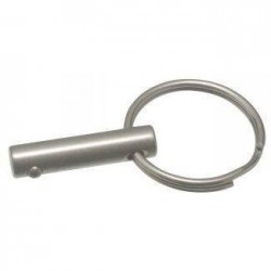 Ringstift