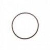 o anel «-» 60x2
