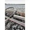 Porte cannes et fixation Railblaza - N°5 - comptoirnautique.com