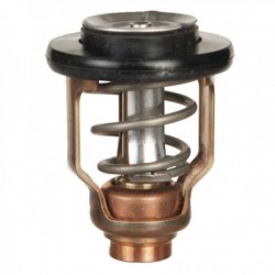 Thermostat pour moteurs Suzuki