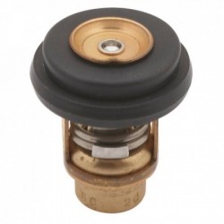 Kit thermostat pour moteurs...