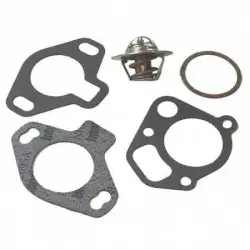 Kit termostato per motori...