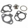 Kit termostato per motori entrobordo