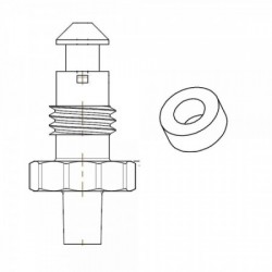 Drain for Settling Filter