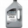 Olio per motori marini 4T 100% sintetico FCW 5W30