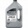 100 % synthetisches 4-Takt-Motoröl für Boote FCW 10W30