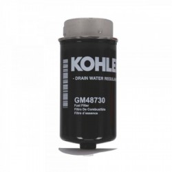 GM48730 Kraftstofffilter...