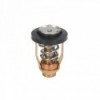 Thermostat für Yamaha-Motoren - N°17 - comptoirnautique.com