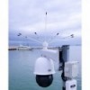 Anti--e de aves Stopgull - N°4 - comptoirnautique.com
