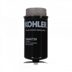GM48729 Filtro carburante...