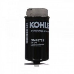 GM48729 Filtro carburante...