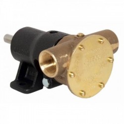- -Bronzepumpe für die...