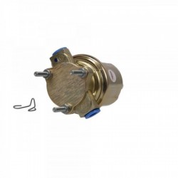 229051-S Pompa gasolio 12 V...