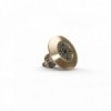 Serie EOS - Multi-, colore THX - N°1 - comptoirnautique.com