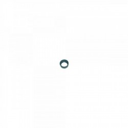 Ocular azul claro com anel