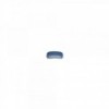 Blaue Augenmuschel – Bestellen - N°1 - comptoirnautique.com