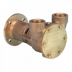 - -Bronzepumpe für die...