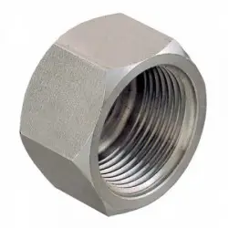 Bouchon femelle inox 1/8"