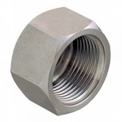 Bouchon femelle inox 2"