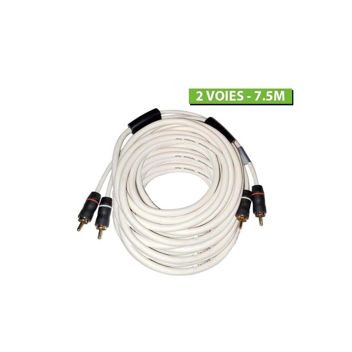 Câble RCA mâle 2 voies