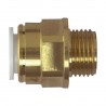Union simple mâle Ø15mm 1/2" BSP LAITON