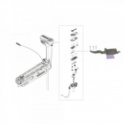 Front Electric Motor Seals...
