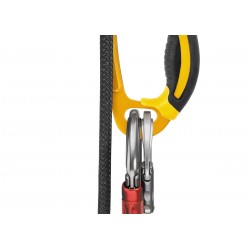 -ascender with ASCENSION...