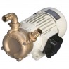 Pompa di sentina professionale in bronzo - 24 V - 75 L/min