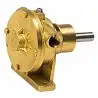 Selbstansaugende Pumpe „-“ vom Typ Nauco PM 34