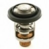 Thermostat pour moteurs Yamaha