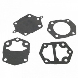 Fuel Pump Kit