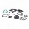 Carburetor Kit for Mercury Engines