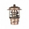 Thermostat für Mercury-Motoren