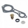 Thermostat Kit for Out-board Engines