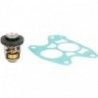 Kit thermostat pour moteurs hors-bord