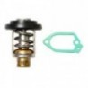 Kit thermostat pour moteurs hors-bord