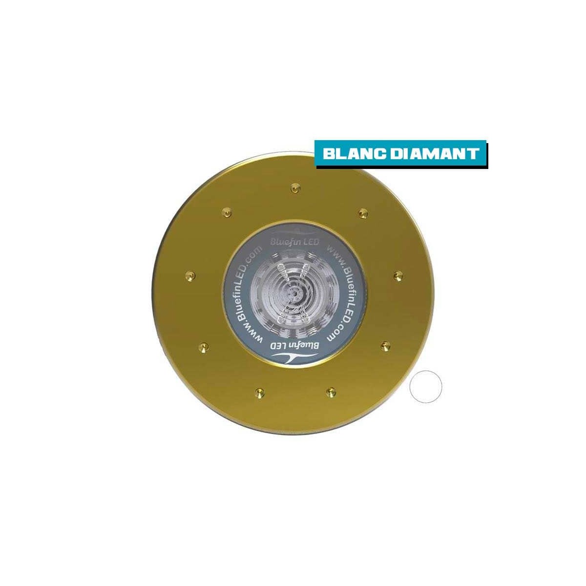 Led sous marine - Great White GW20 IFM 24V