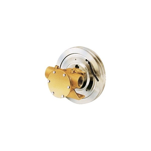 Pompa a frizione elettromagnetica 24V 1B Serie 50080 - N°1 - comptoirnautique.com