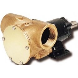 Pumpe mit freiem Wellenende...