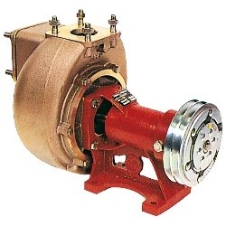 Pumpe Forani Serie AM40...